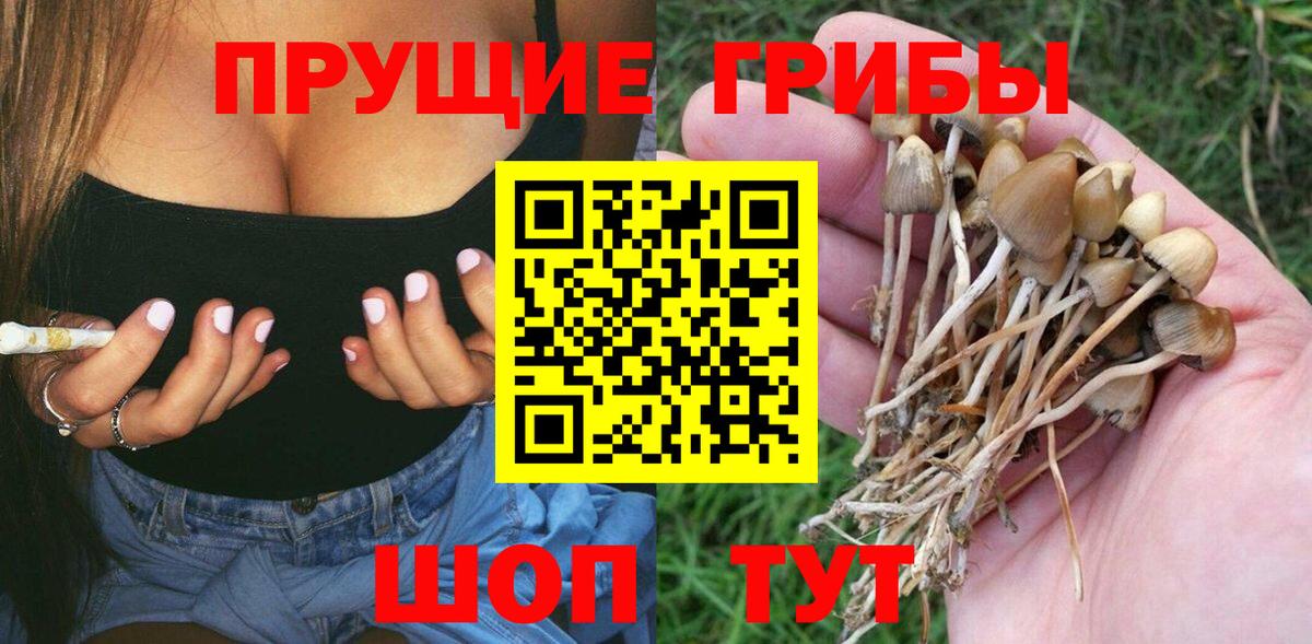 Галлюциногенные грибы Psilocybine cubensis  Вход с VPN  что такое   Переславль-Залесский 
